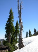 Summer '06 Sunriver II 039 